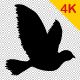 Bird Flying - VideoHive Item for Sale