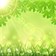 Summer Green Nature Background, Vectors | GraphicRiver