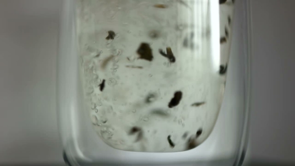 Glass Teapot With Blooming Tea Flower Inside