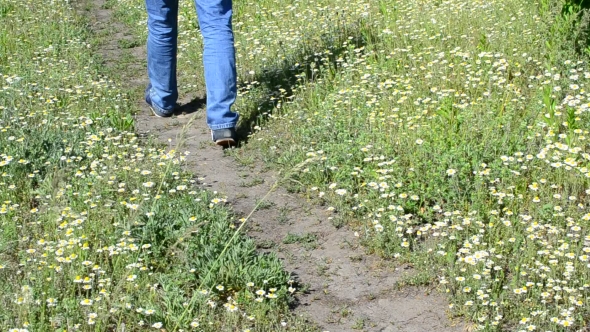 Feet Of Young Man Walking On Footpath In Meadow With Daisies