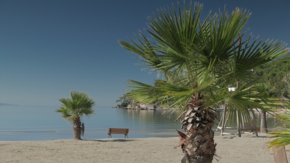 Sandy Beach With Palm Trees And Lonely Bench In a Summer Morning. 