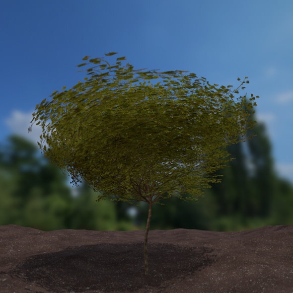 twisted tree - 3Docean 15652236