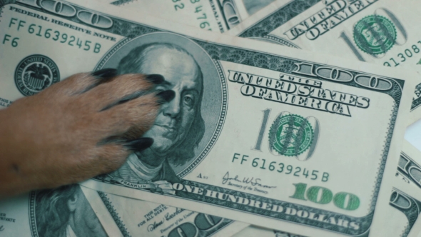 Dog Takes The Money