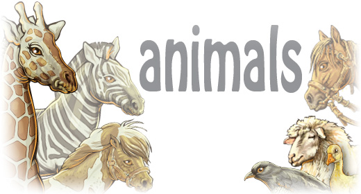 animals