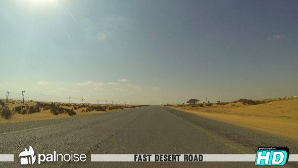 Desert Fast Road