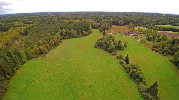 The Greeny Field of the Palamuse City in Estonia