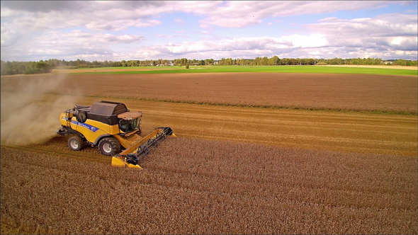 A Yellow Harvester Harvesting the Crops in the Field
