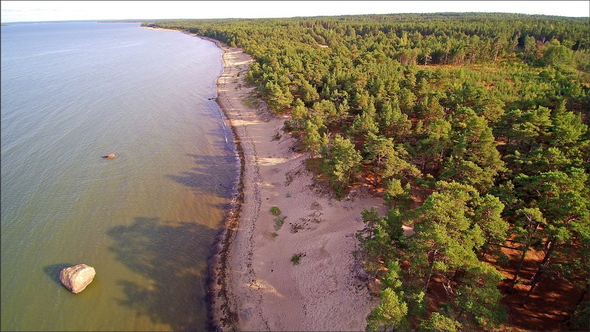 The White Shore of the Large Kuremaa Lake