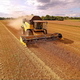 Closer Look of the Harvester Getting the Crops - VideoHive Item for Sale