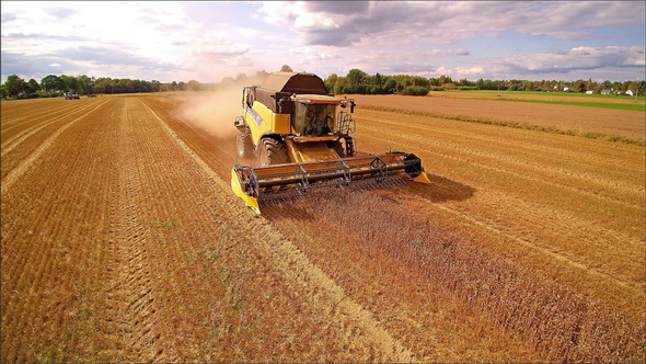 Closer Look of the Harvester Getting the Crops