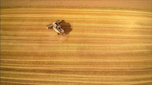 Yellow Harvester Turning Around in the Field