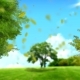 Bright Spring Background - VideoHive Item for Sale