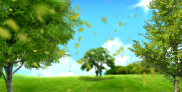 Bright Spring Background