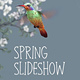 Spring Slideshow - VideoHive Item for Sale