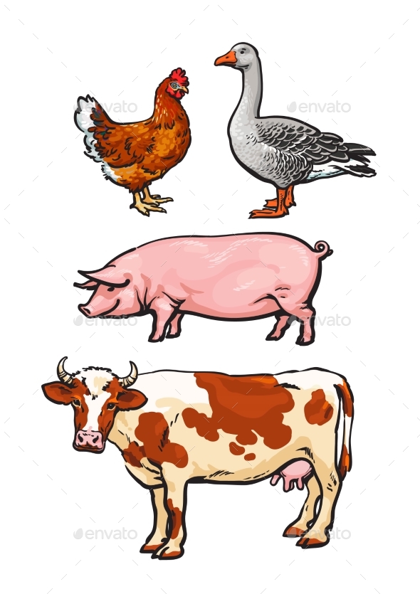 Set of Farm Animals - Animals Characters