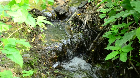 Beautiful Brook With Small Waterfalls Flowing In a Forest