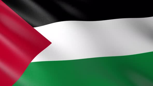Flag of The Palestine alt