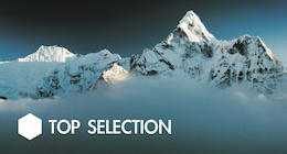 TOP SELECTION