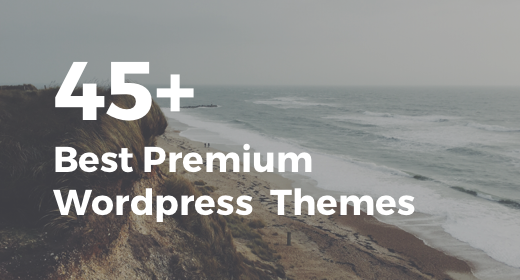 45+ Best Premium Wordpress Themes