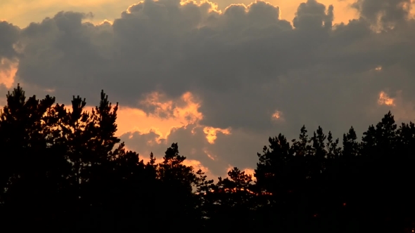 Clouds At Sunset In Sky Over Tree Silhouettes