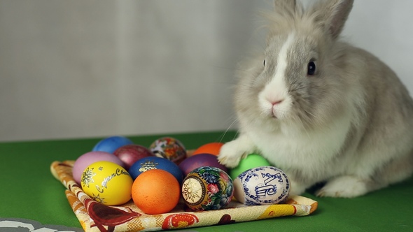 Easter Bunny with Easter Eggs alt