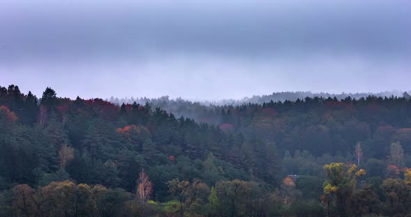 Fog Moving Over the Forests in the Autumn