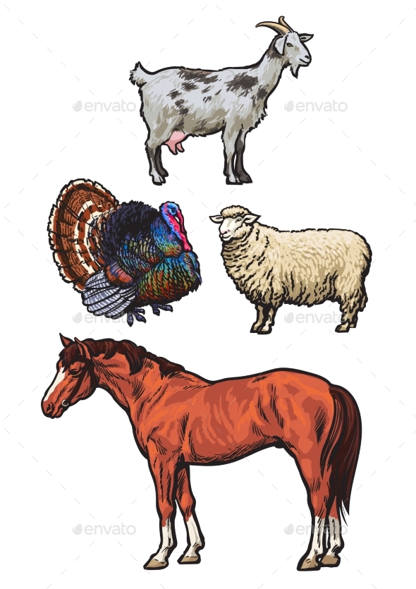 Set of Farm Animals - Animals Characters
