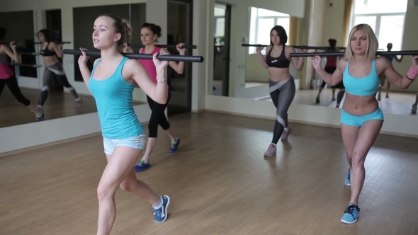 Squats With a Bar In The Gym. alt