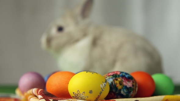 Easter Bunny with Easter Eggs alt