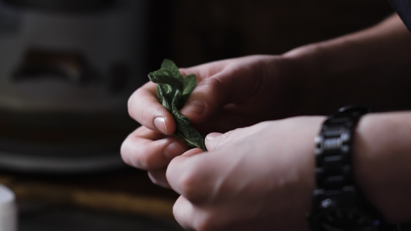 Bartender Separates Mint Leaves. Prepare The Ingredients For a Cocktail. alt