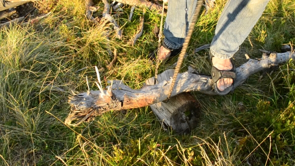 Sawing Wood For Fire With Compact Portable Tourist Chain Saw