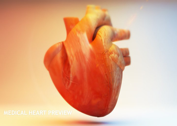 3D Heart Anatomy - 3Docean 15722807