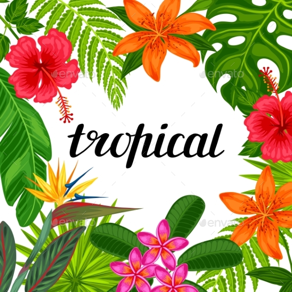Tropical Paradise Card With Stylized Leaves - Flowers & Plants Nature
