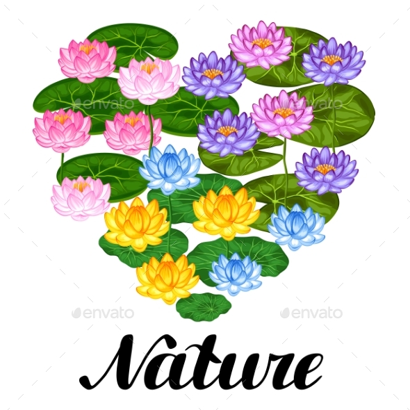 Natural Background With Lotus Flowers And Leaves - Flowers & Plants Nature