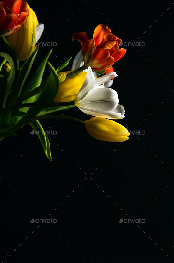 bunch of flowers with black background