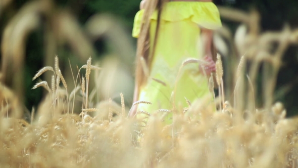 Beautiful Girl With Long Hair Walking Between The Ears Of Wheat. 