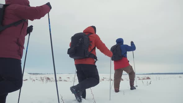 Three Tourist Hikers with Trekking Poles, a Backpack and Snowshoes. Happy Hikers Group Walking alt