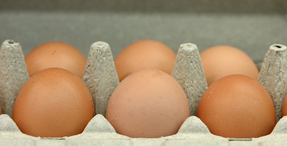 Chicken Eggs in the Store