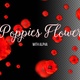 Poppies Flowers with Alpha - VideoHive Item for Sale