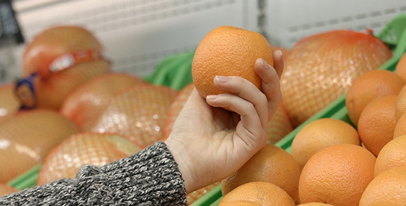 Fresh Orange in Hand