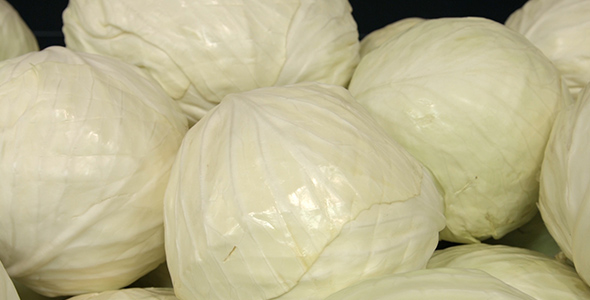 Head of Cabbage on the Counter in the Store