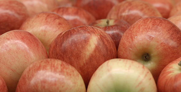 Red Apples in the Store