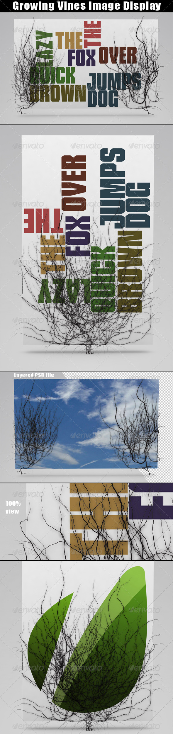 Growing Vines Image Display