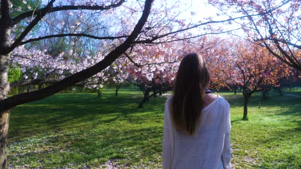 Girl walking in Japanese Garden with blooming trees. Young woman with long hair enjoys spring alt