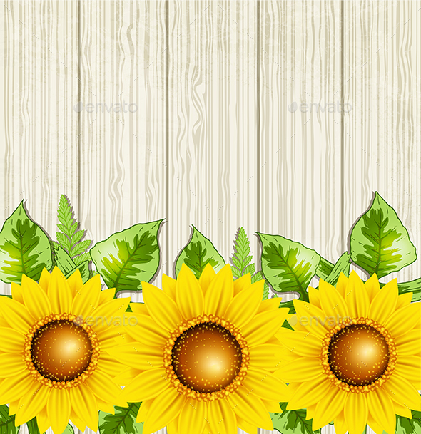 Summer Background with Sunflowers - Flowers & Plants Nature