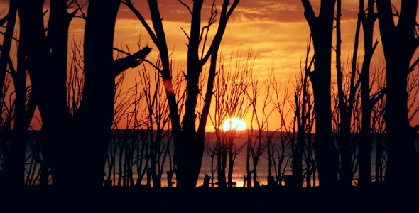 Timelapse Sunset Over Lake Framed by Trees alt