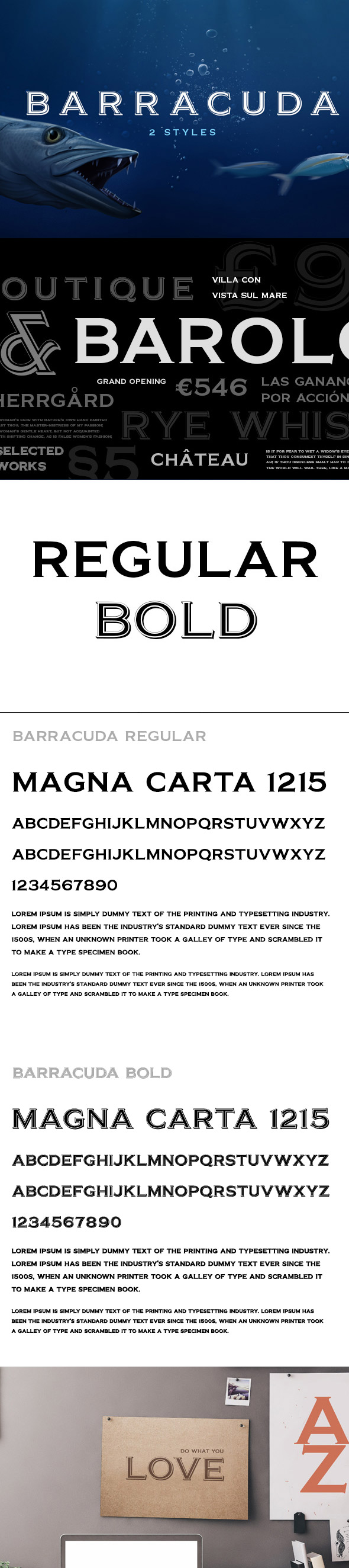 Barracuda - Serif Fonts