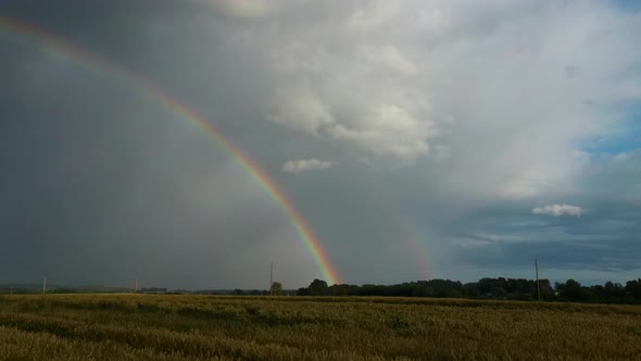 Flight Sideward Ripe Crop Field After Rain and Colorfull Rainbow in Background  alt