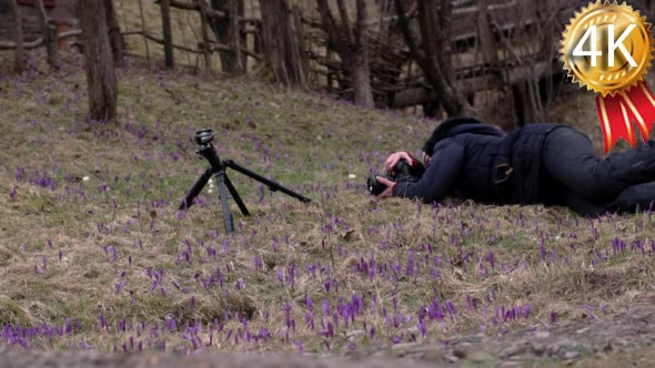 Photographer Making Photos of Snowdrops