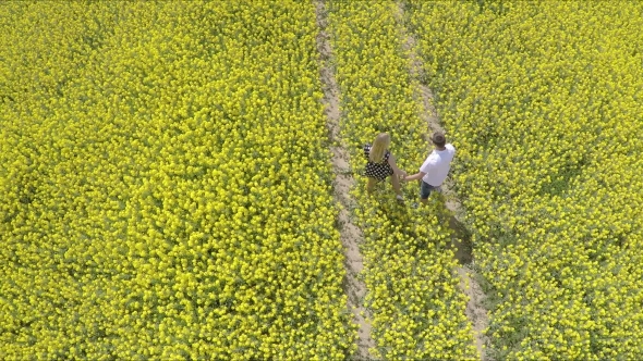  Affectionate Man And Woman Holding Hands While Running On Oilseed Rape Farm. alt